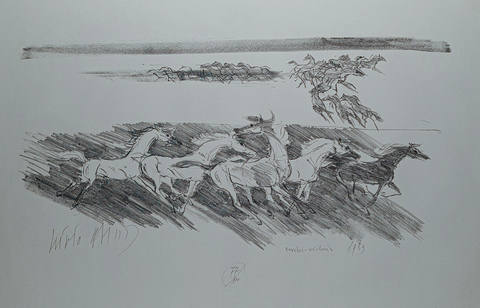 Cavalos