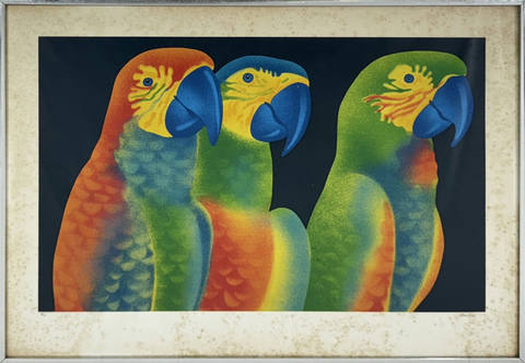 Arara