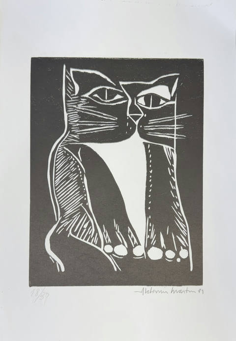 Gato