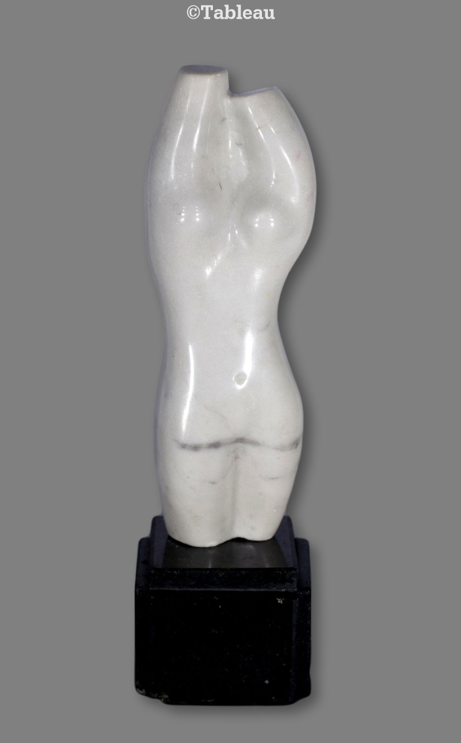 Torso