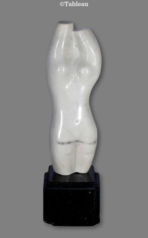 Torso