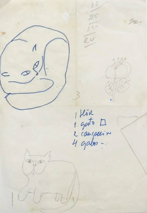 Estudo Para Exposição