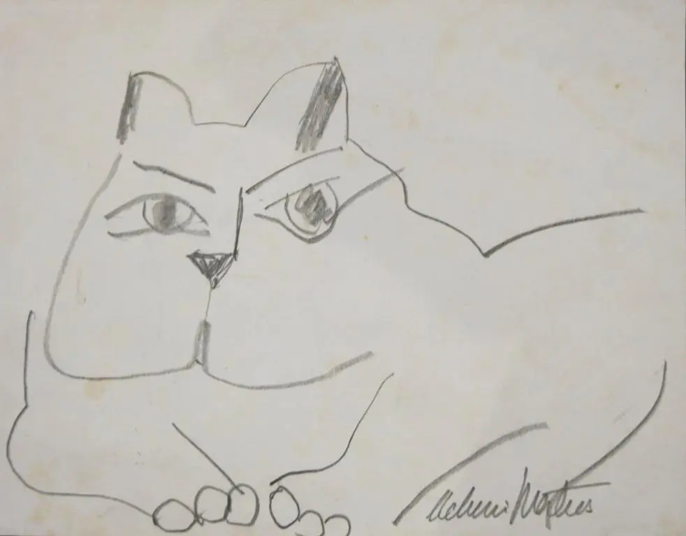 Gato