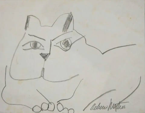 Gato