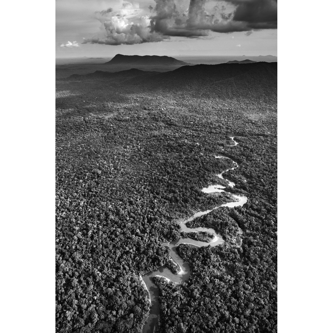 Sebastião Ribeiro Salgado - Sem título
