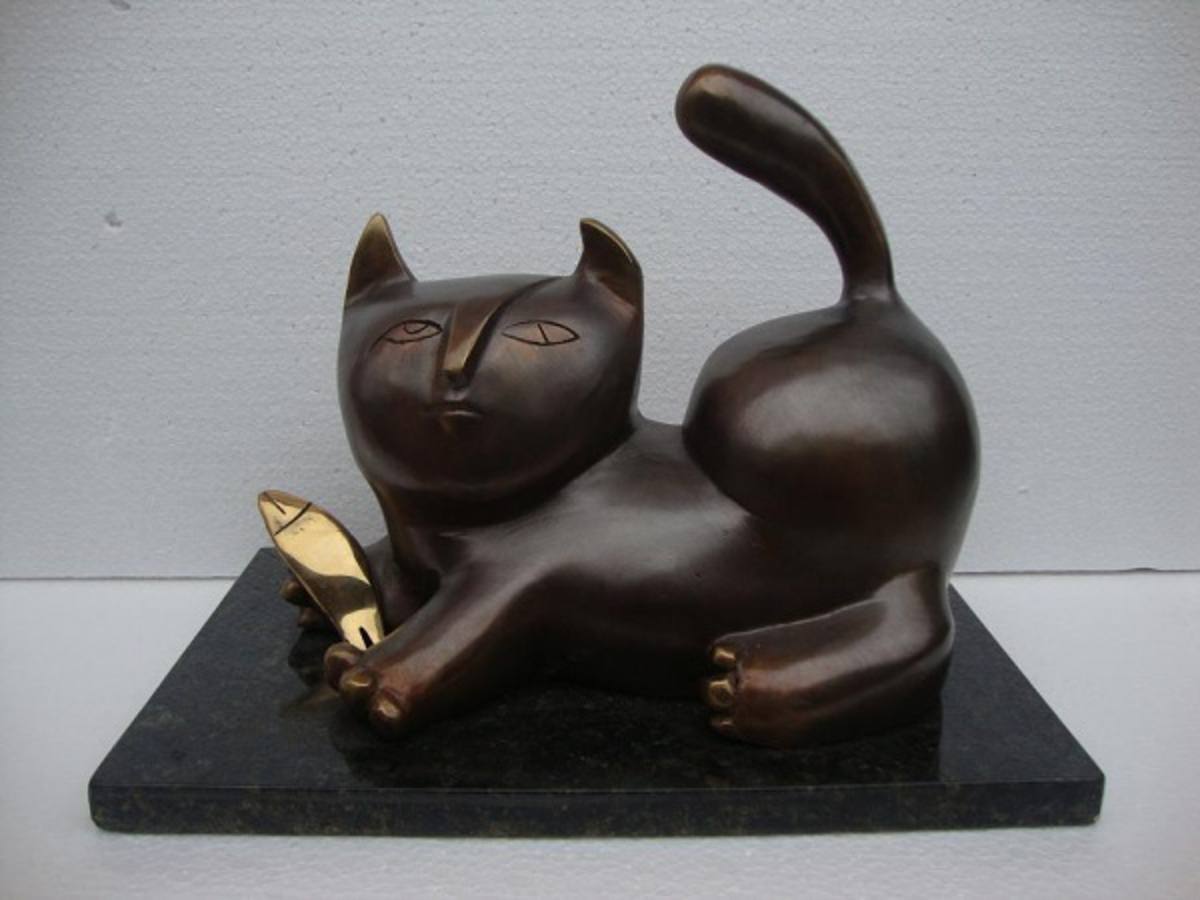 Gato e Peixe