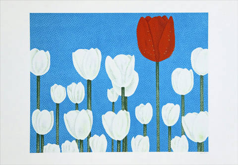 Tulipas P.a