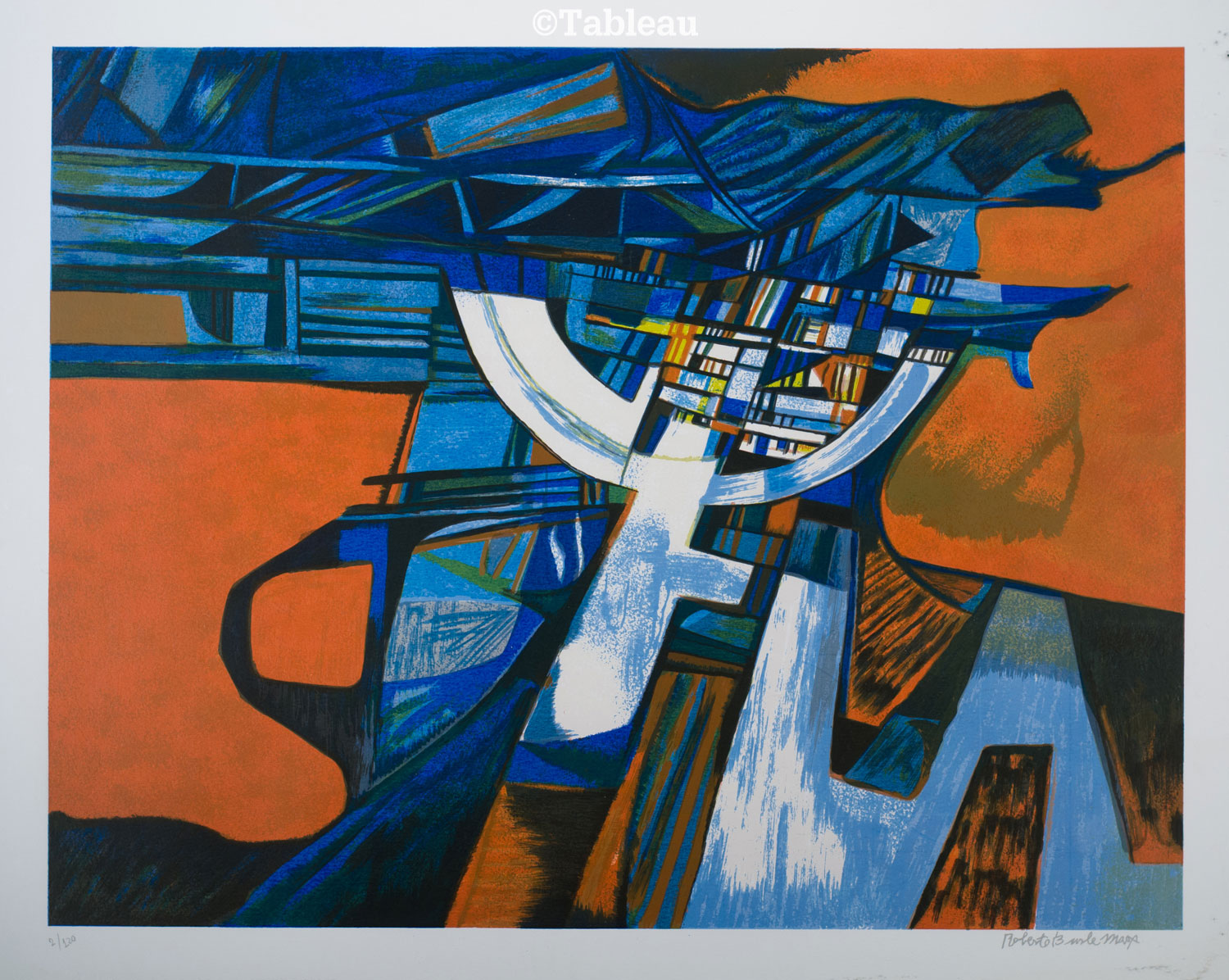 Roberto Burle Marx - Composição