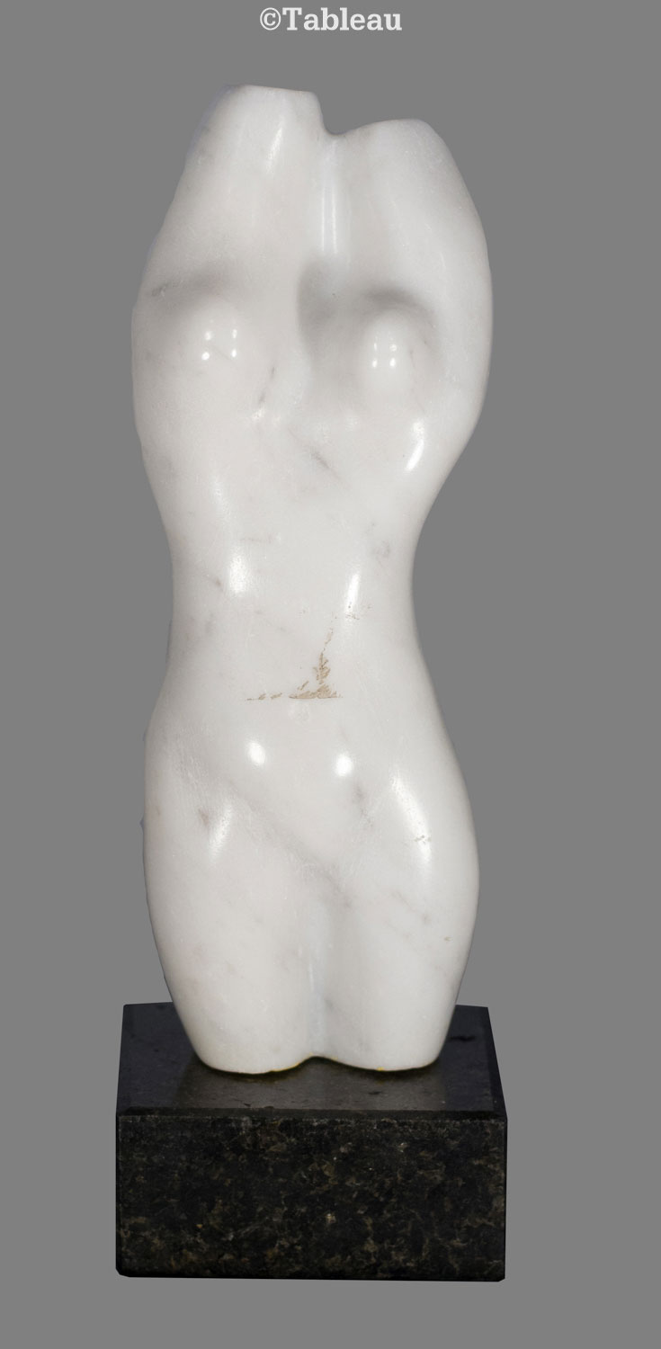 Torso