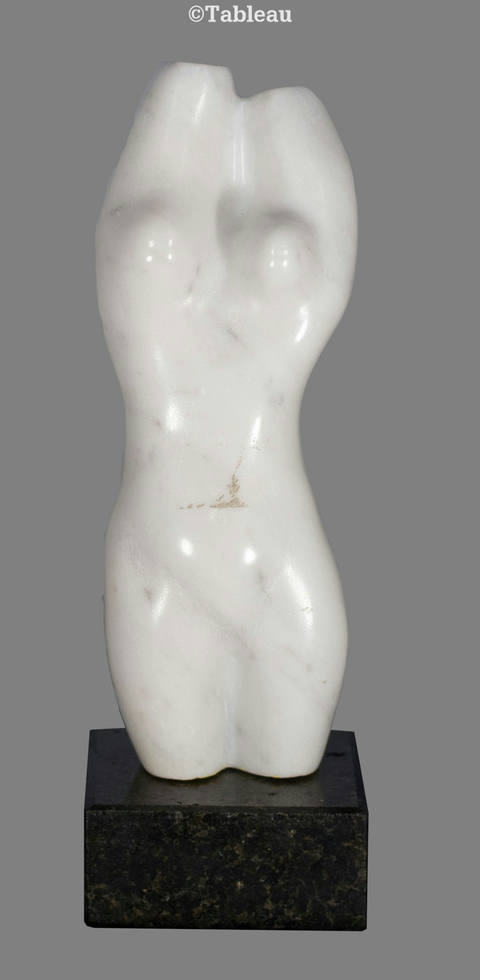 Torso