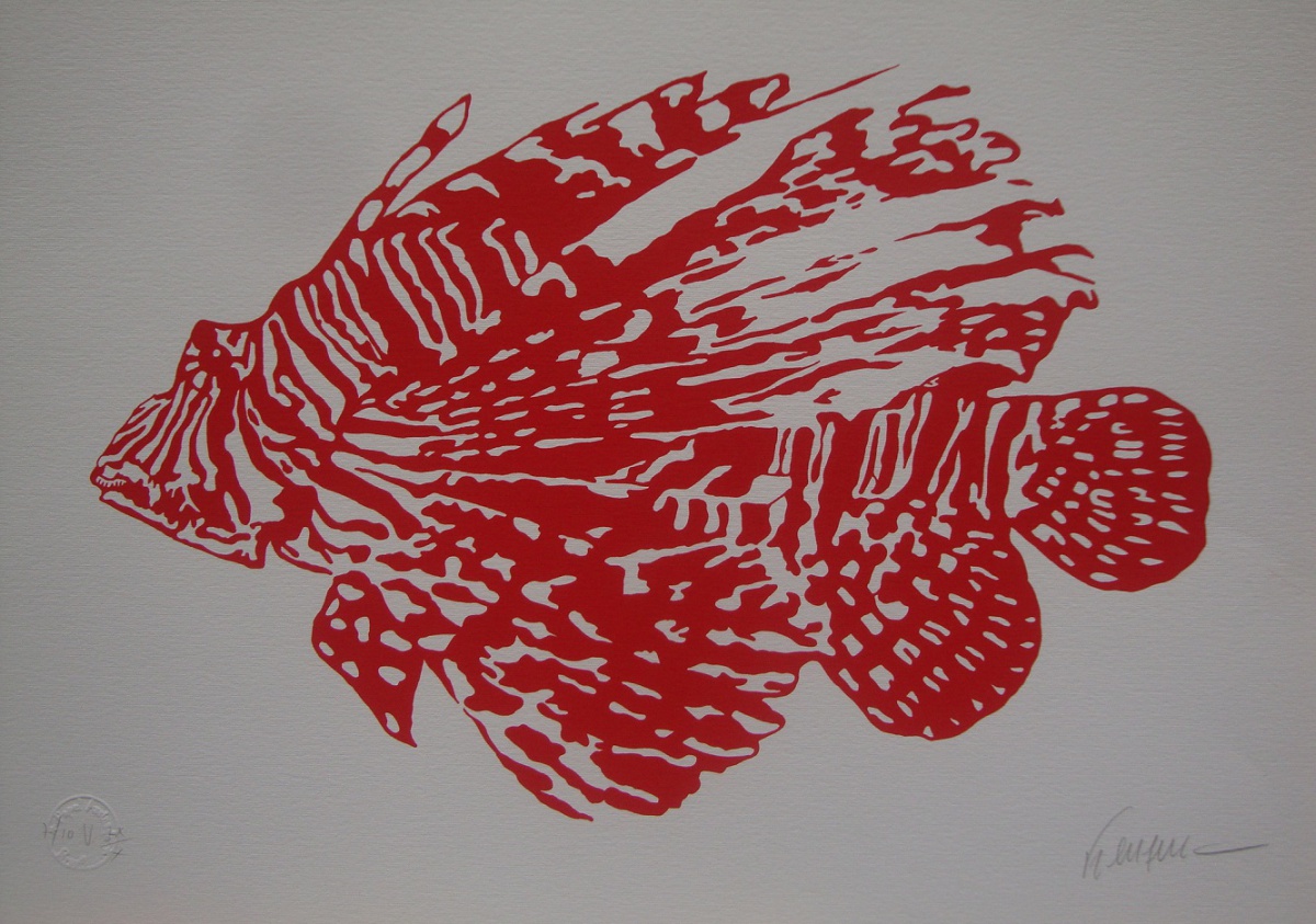 Kleber Ventura - Peixe Vermelho