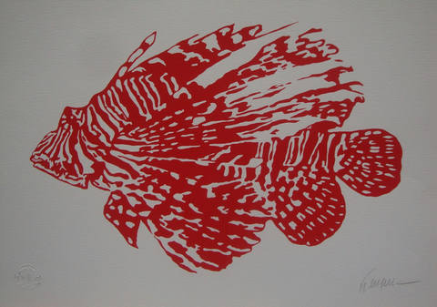 Peixe Vermelho