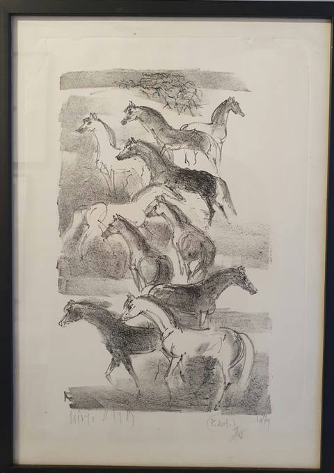 Cavalos -