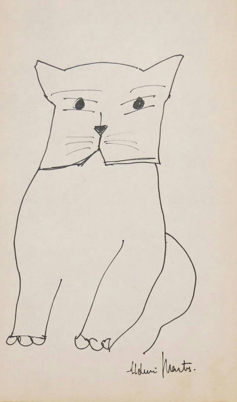Gato
