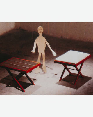 Cildo Meireles - Camelô