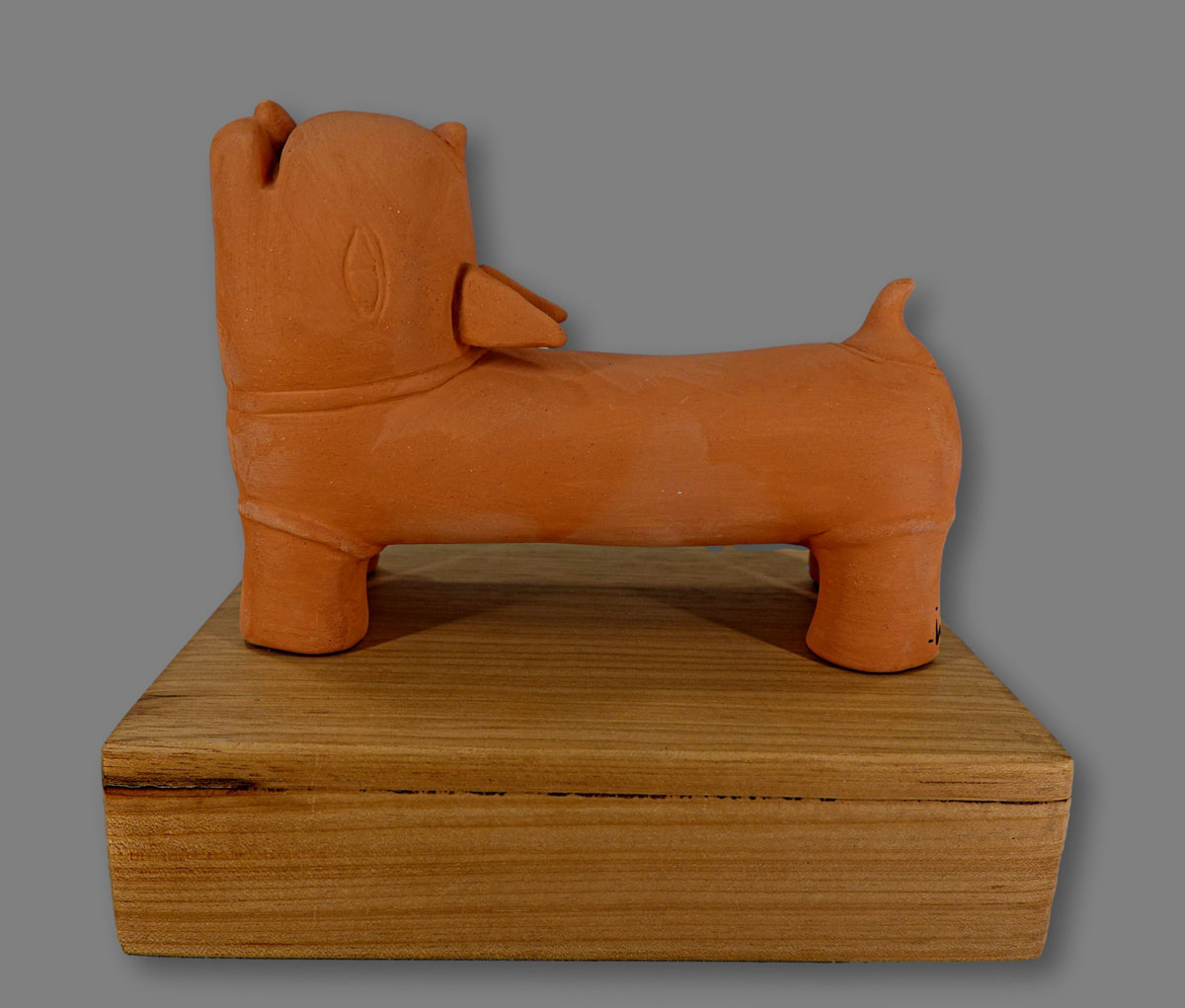 Cachorro