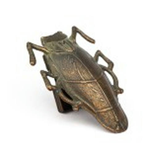 Cigarra