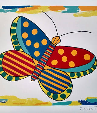 Carlos Furtado - Borboleta