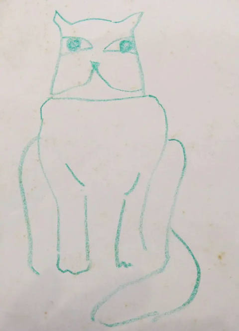 Gato