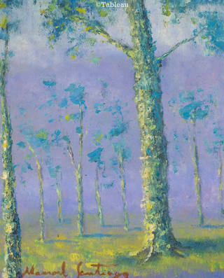 Manoel Santiago - Cascudas