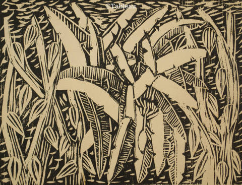 Bananeiras