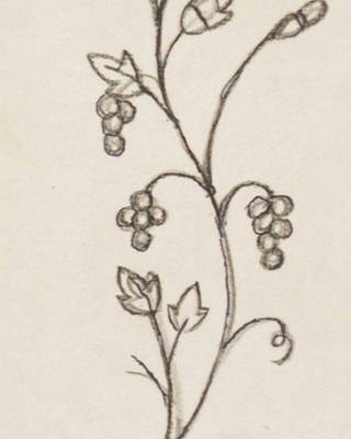 Fulvio Pennacchi - Planta com frutas e pássaros