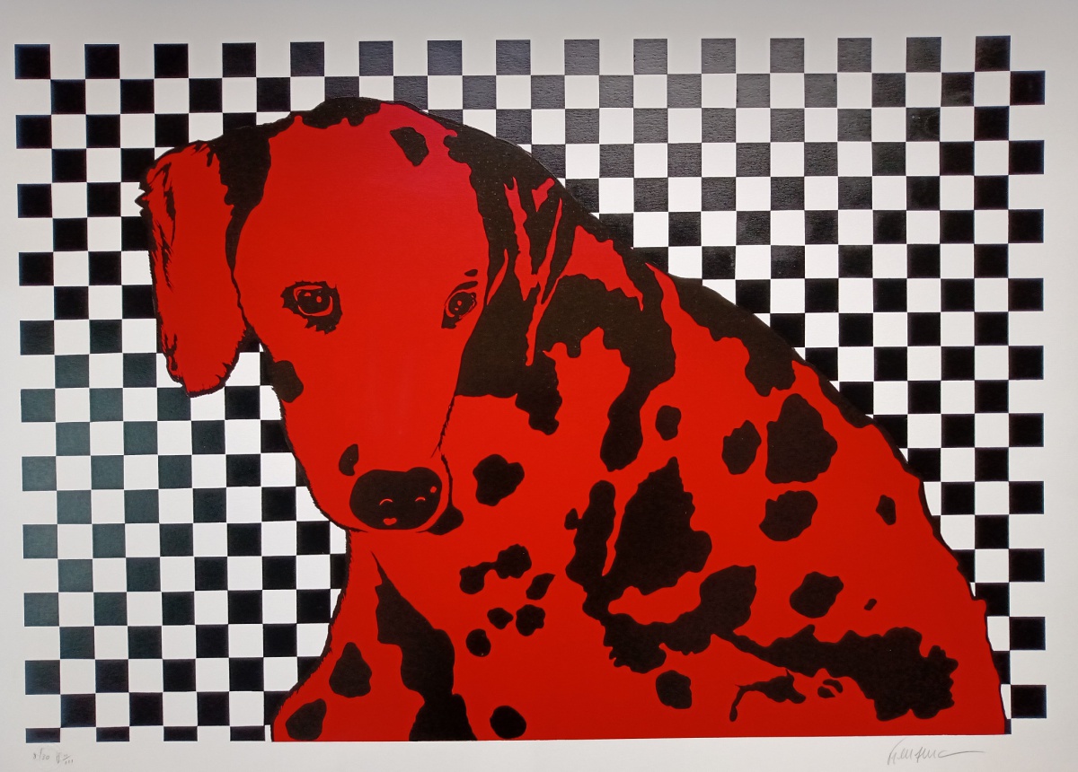 Cachorro vermelho