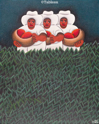 José Sabóia - Colheita