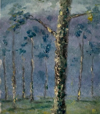 Manoel Santiago - Paisagem