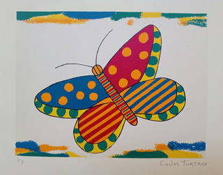 Carlos Furtado - Borboleta