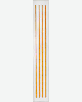 Cildo Meireles - Metros