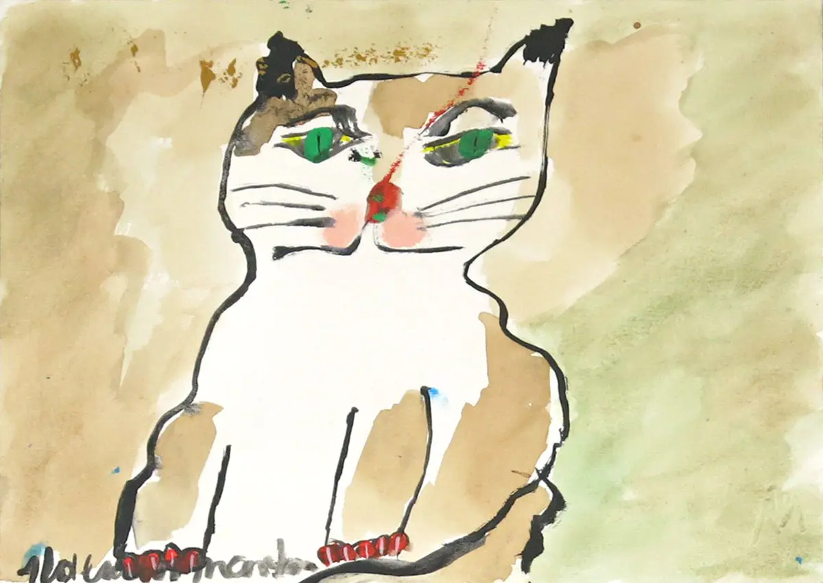 Gato