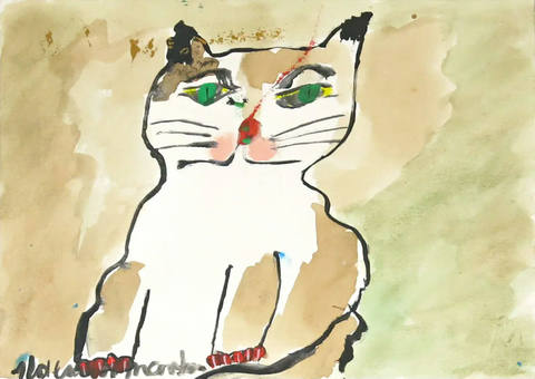 Gato