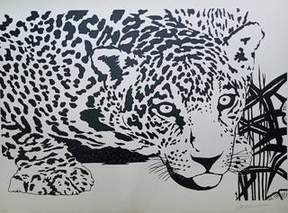 Kleber Ventura - Onça Pintada