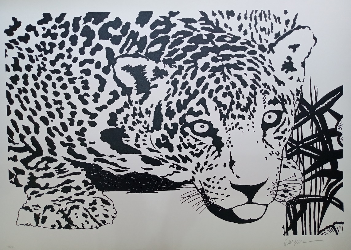 Kleber Ventura - Onça Pintada