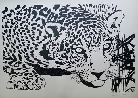 Onça Pintada