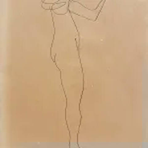 Figura Feminina