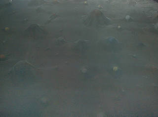 Cildo Meireles - Glovetrotter