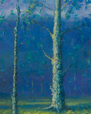 Manoel Santiago - Cascudas