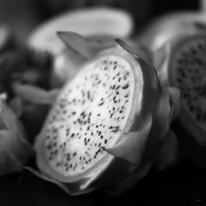Empório Pb - Frutas 19