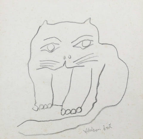 Gato
