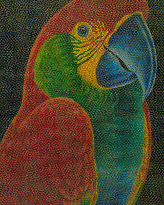 Claudio Tozzi - Papagália