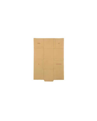 Cildo Meireles - This is a Canvas, This is a Box