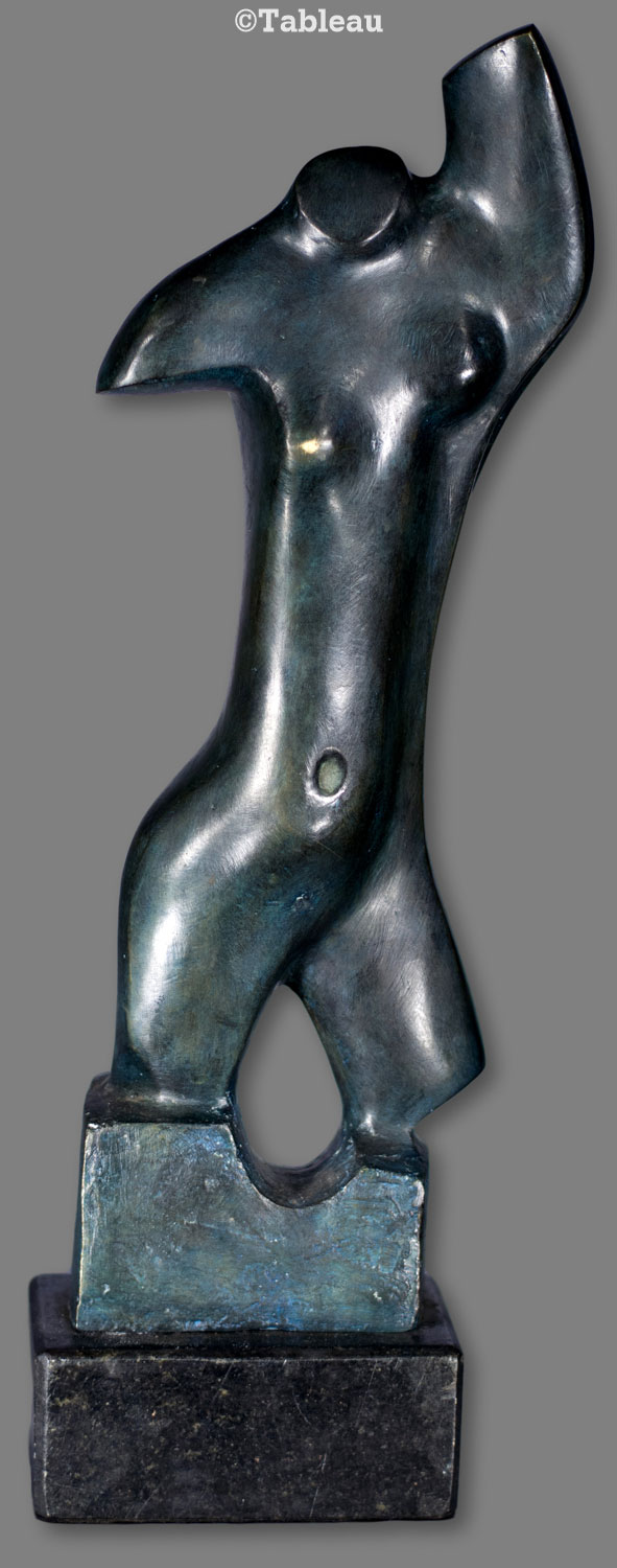 Torso