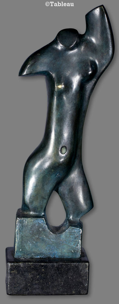 Torso