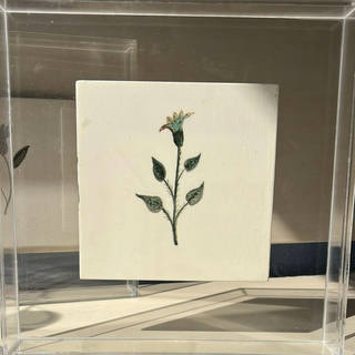 Fulvio Pennacchi - Azulejo em baixo esmalte