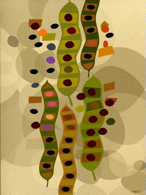 Às Favas VI