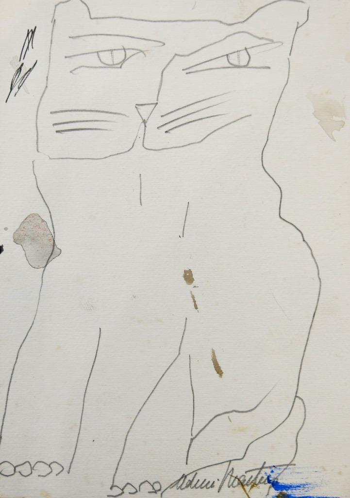 Gato