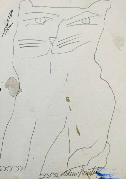 Gato