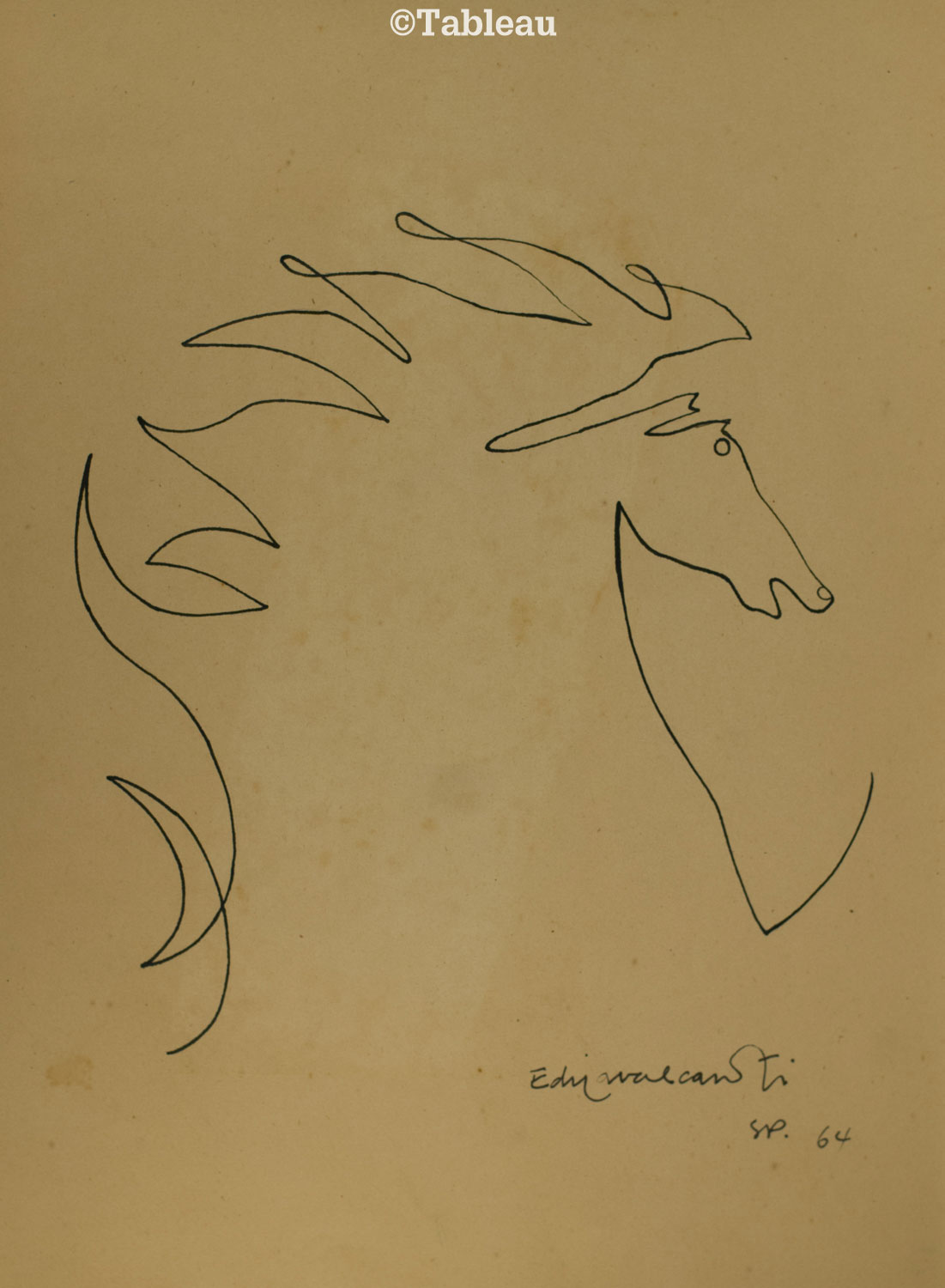 Cavalo